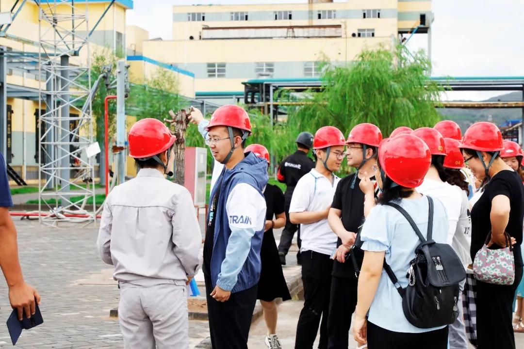 香港现场直播本港台