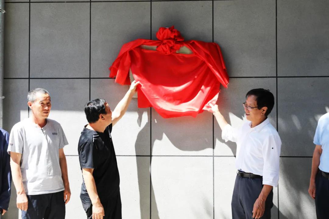 香港现场直播本港台