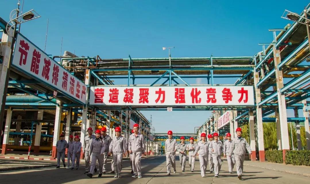 香港现场直播本港台