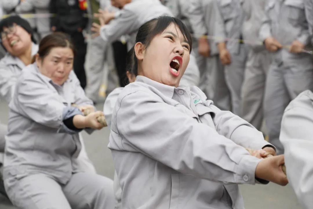 香港现场直播本港台