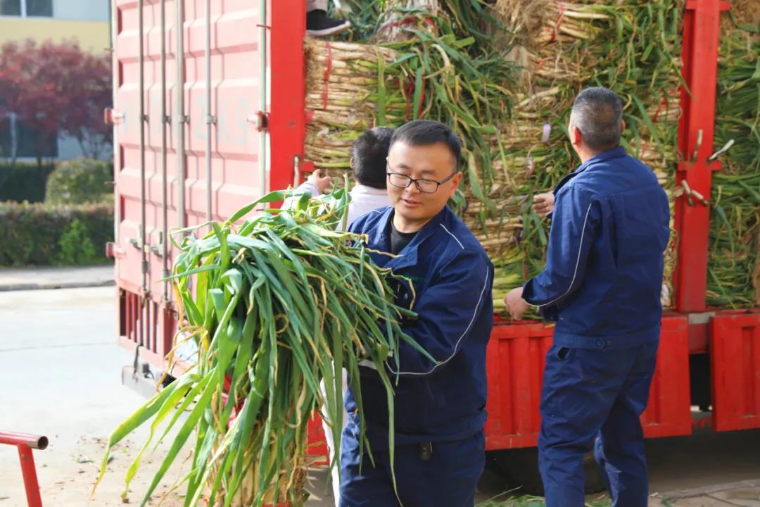 香港现场直播本港台