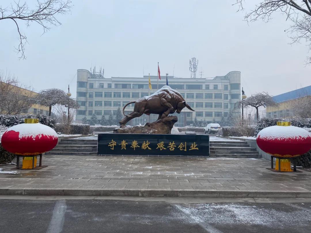 香港现场直播本港台