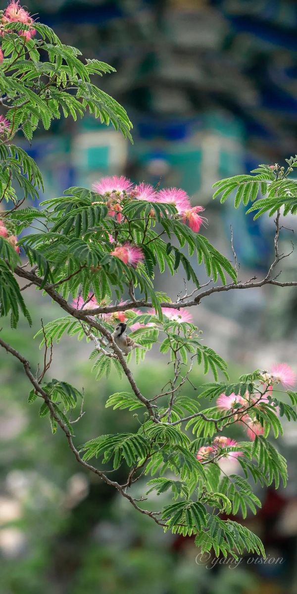 香港现场直播本港台