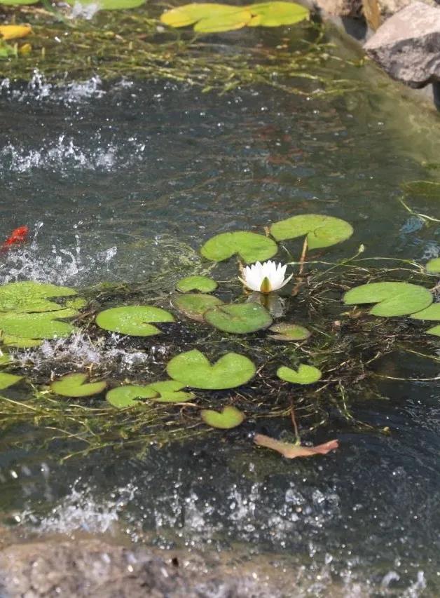 香港现场直播本港台