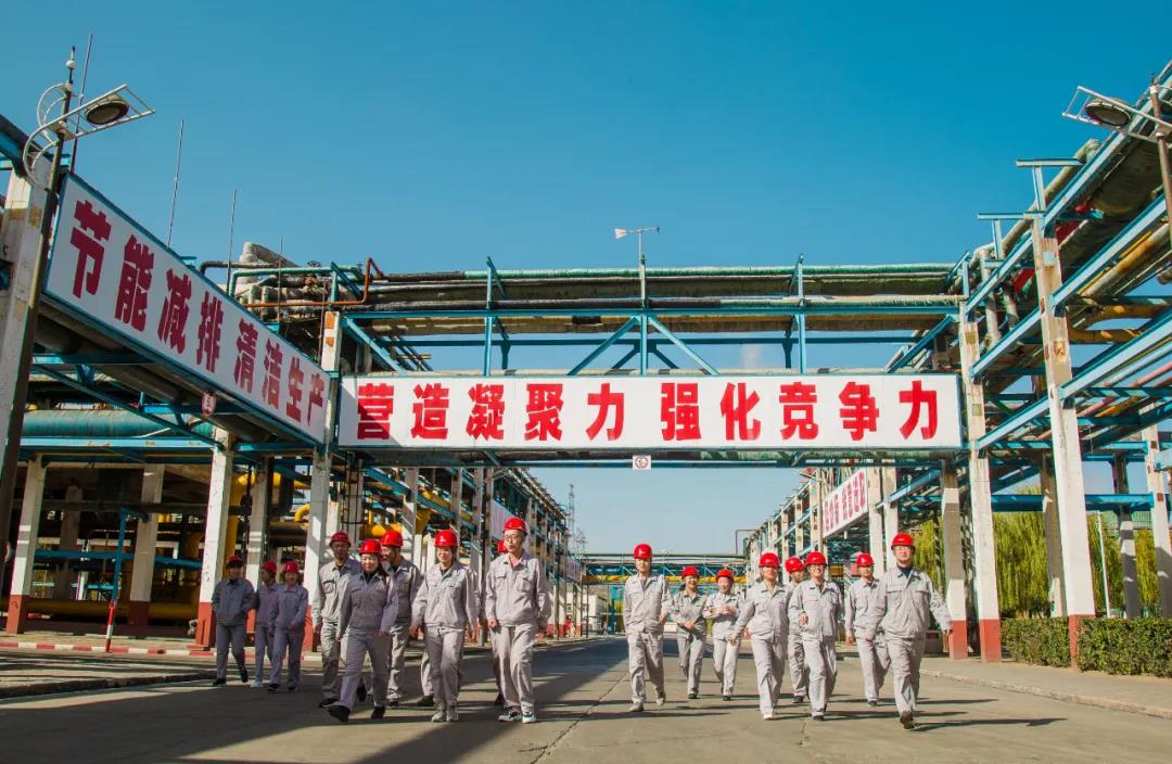 香港现场直播本港台