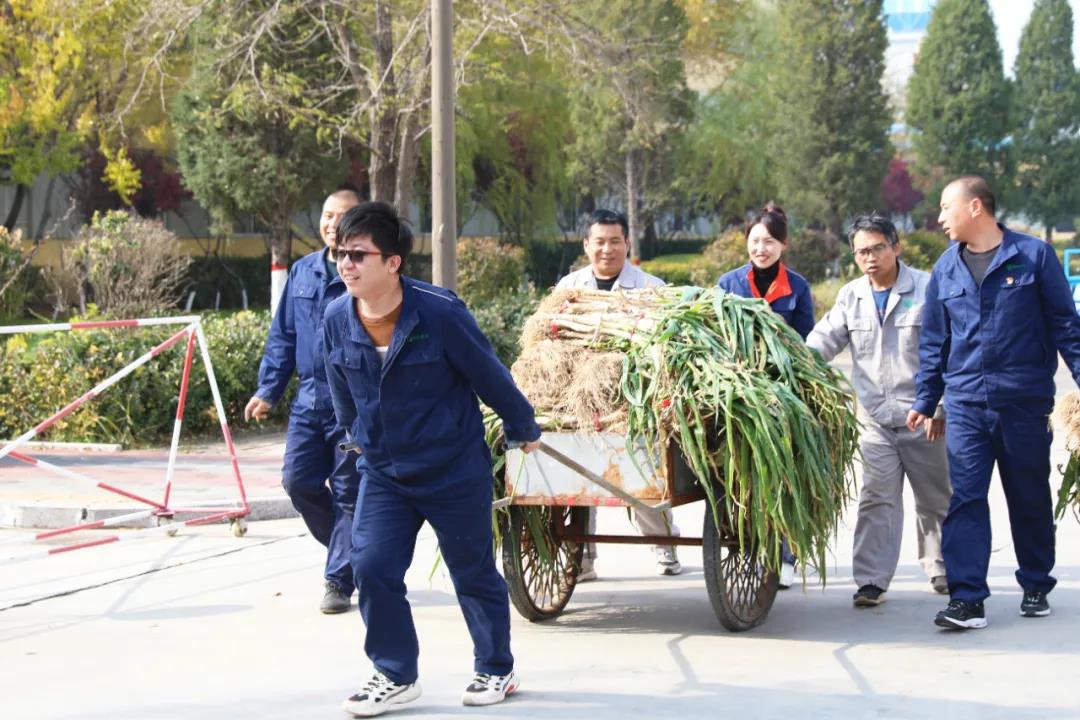 香港现场直播本港台